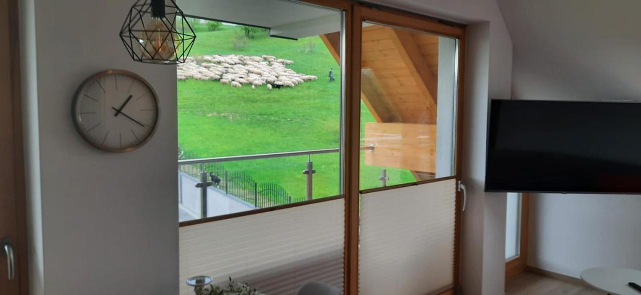 Apartamenty Bachledzki Wierch Zakopane Buitenkant foto